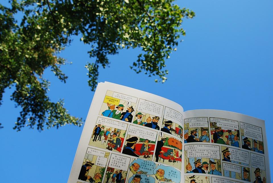 Belgijski strip „Pustolovine Tintina“ preveden je na više od 50 jezika.